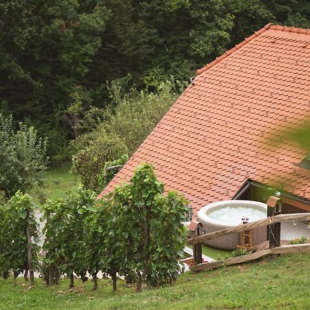 Vineyard Cottage Tramte Skocjan  Экстерьер фото