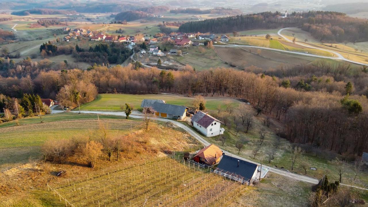 Vineyard Cottage Tramte Skocjan  Экстерьер фото