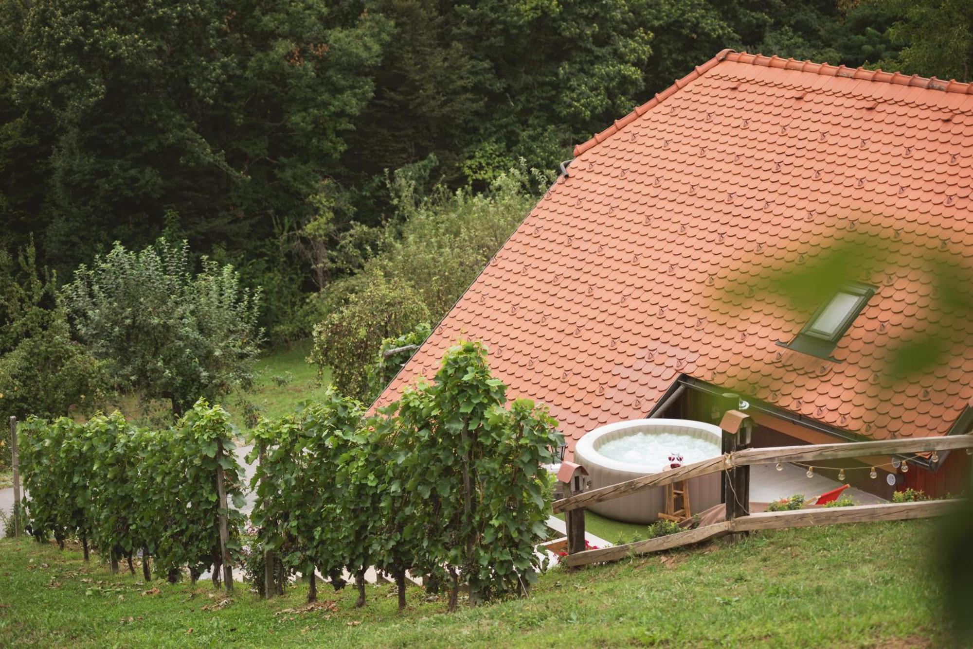 Vineyard Cottage Tramte Skocjan  Экстерьер фото